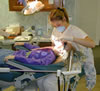 applying sealants